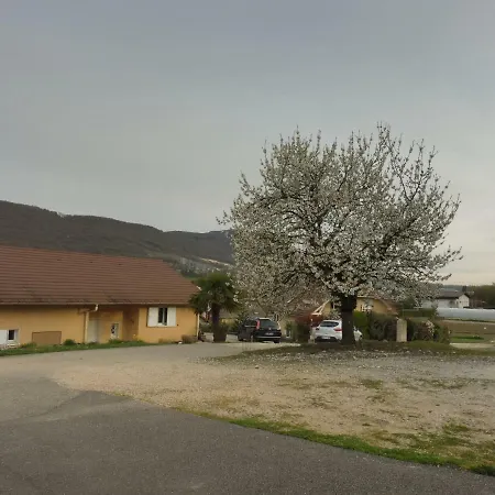 Cathy T2 艾克斯莱班